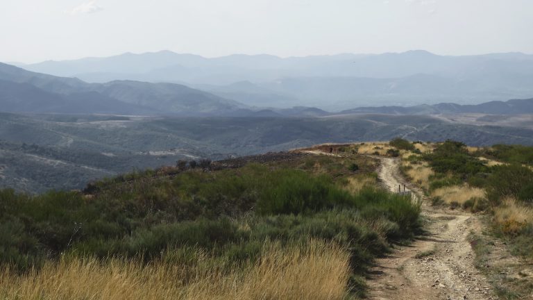 El Camino de Santiago: Una Experiencia Espiritual y Cultural